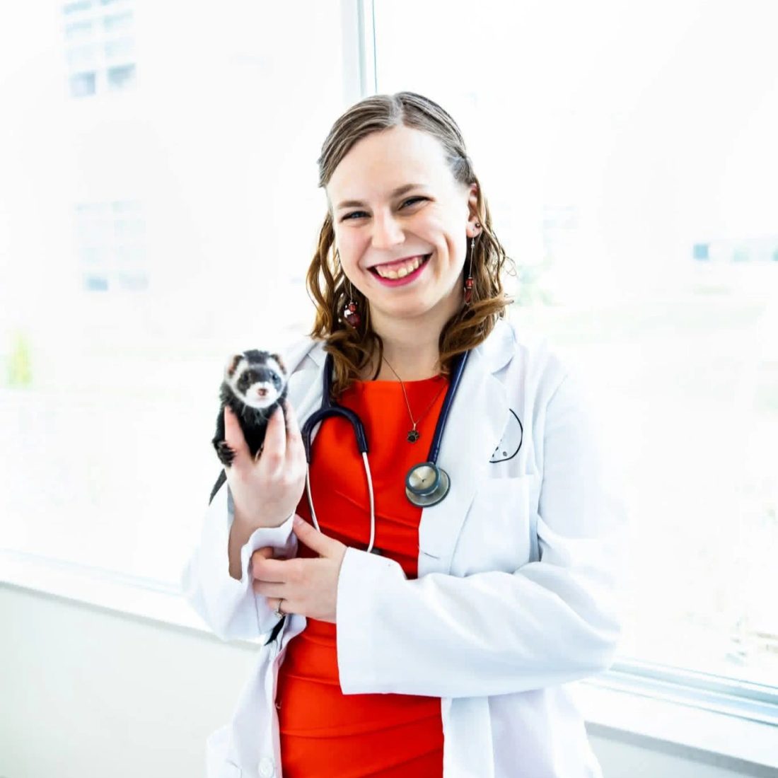Smiling veterinarian holding a small black and white dog in clinic